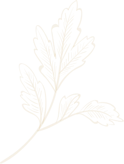 Decorative element symbolizing the fusion of Indian and Nepali flavors at the best restaurant, ideal for food lovers.