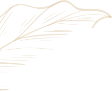 Small Yellow Logo
